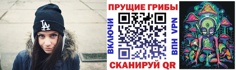 как найти   Питкяранта  Псилоцибиновые грибы прущие грибы 